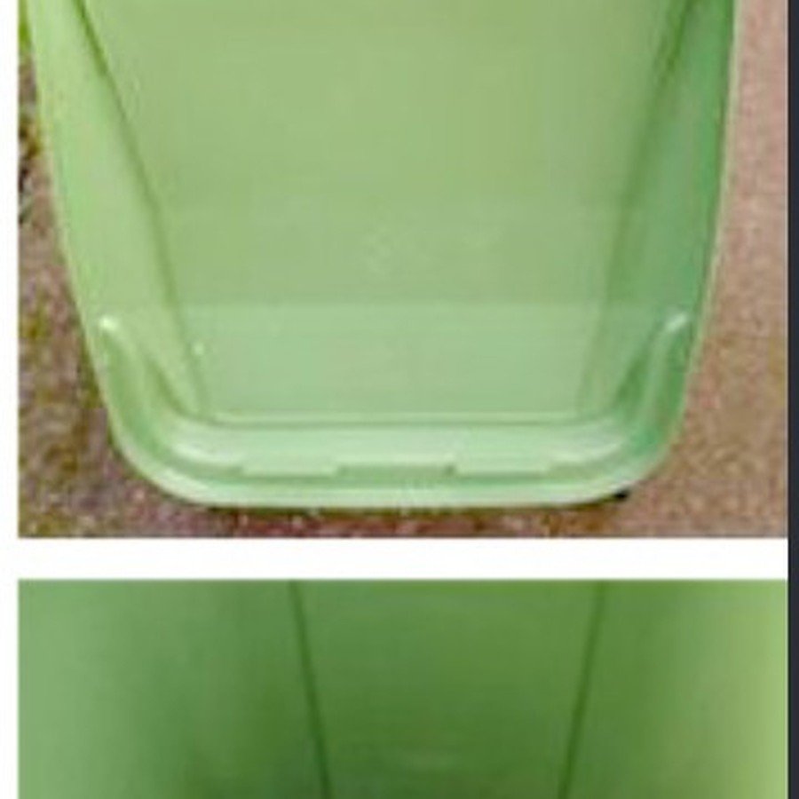 Bote después